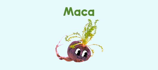 Exploring Maca: Nature's Adaptogen and Ancient Superfood